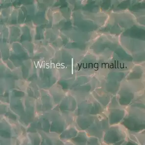 Wishes.