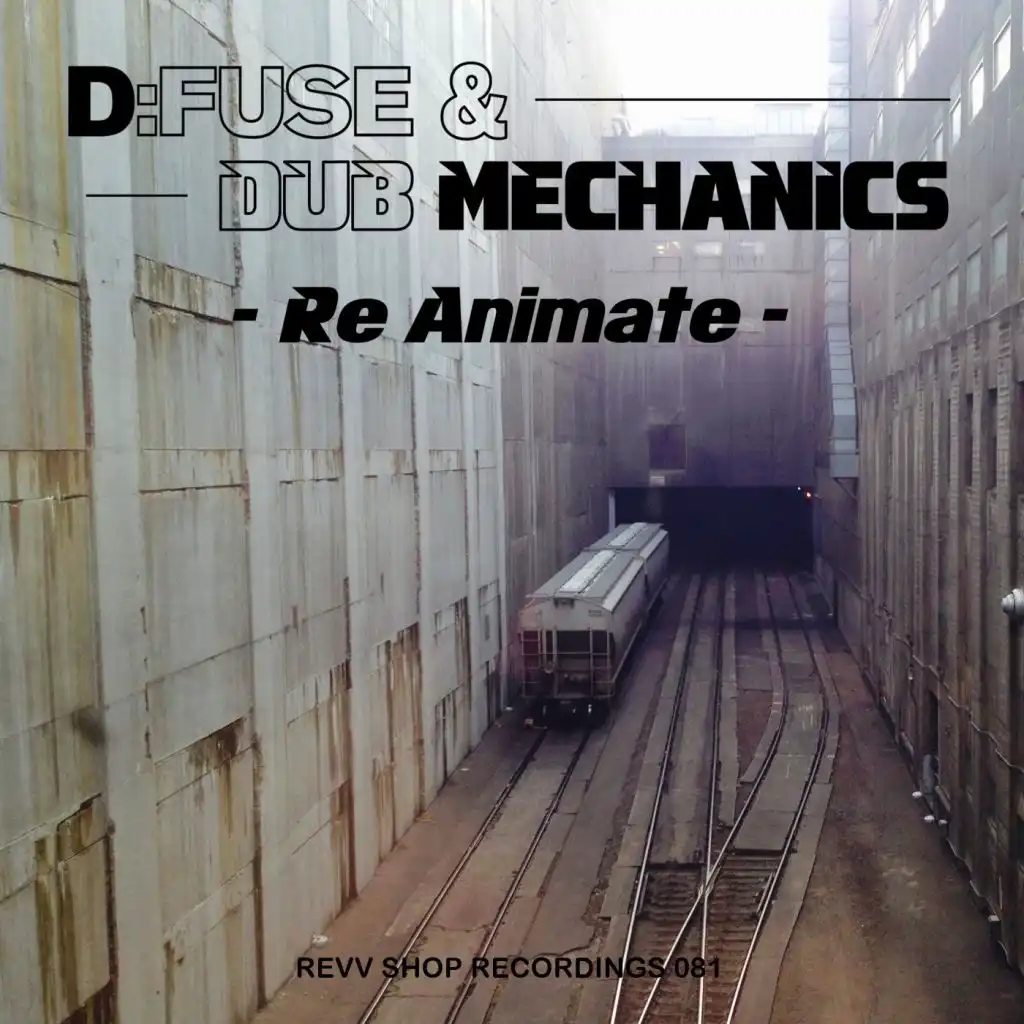 D:Fuse & Dub Mechanics
