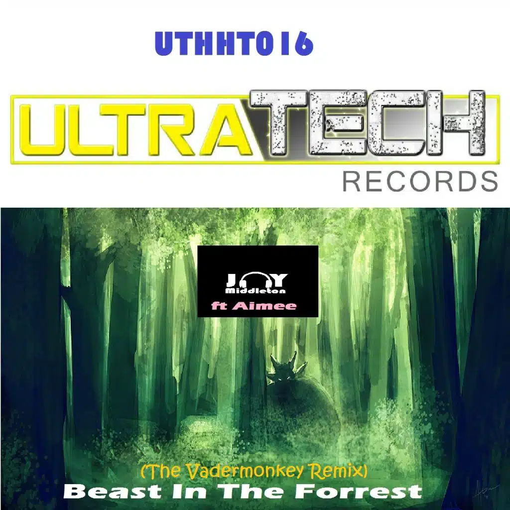 Beast In The Forrest (The Vadermonkey Remix) [feat. Aimee']