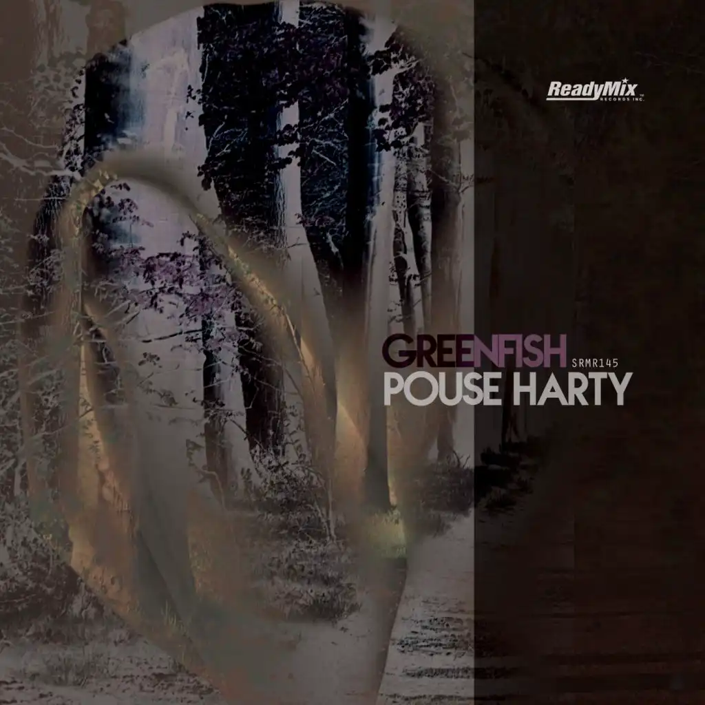 Pouse Harty (David Kassi Remix)