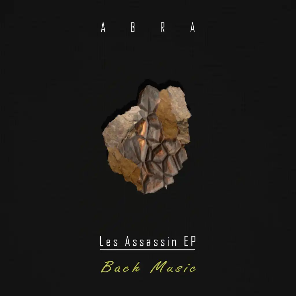 Les Assassin (DJ Bass Synth Tool)