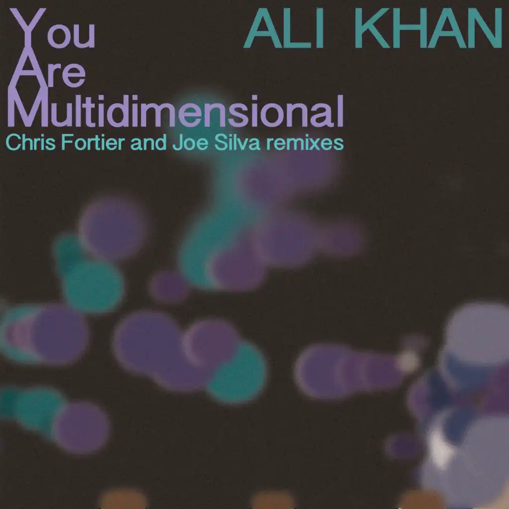 You Are Multidimensional (Joe Silva Remix)