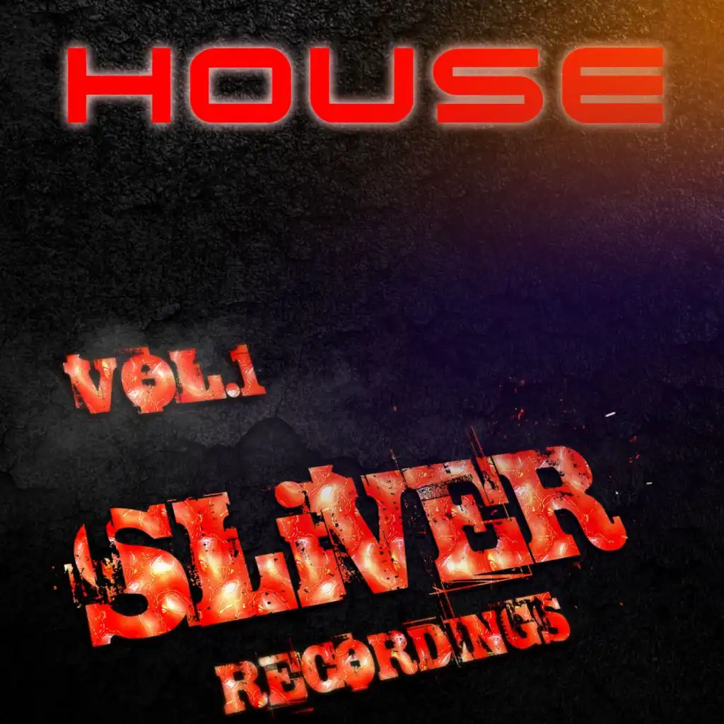 SLiVER Music House, Vol. 1