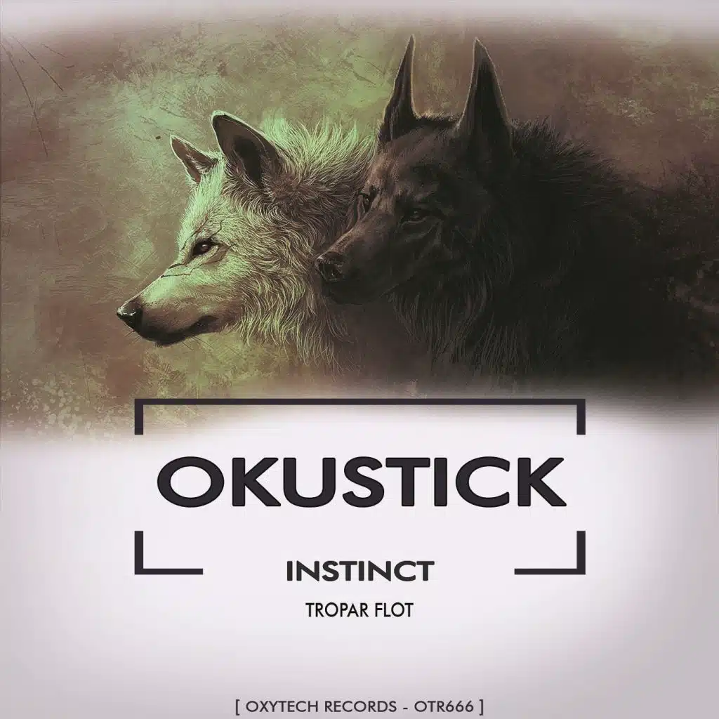 Okustick