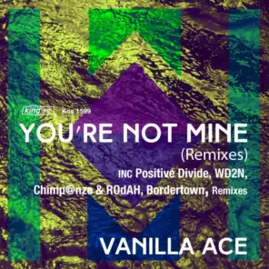 You're Not Mine (Positive Divide Remix)
