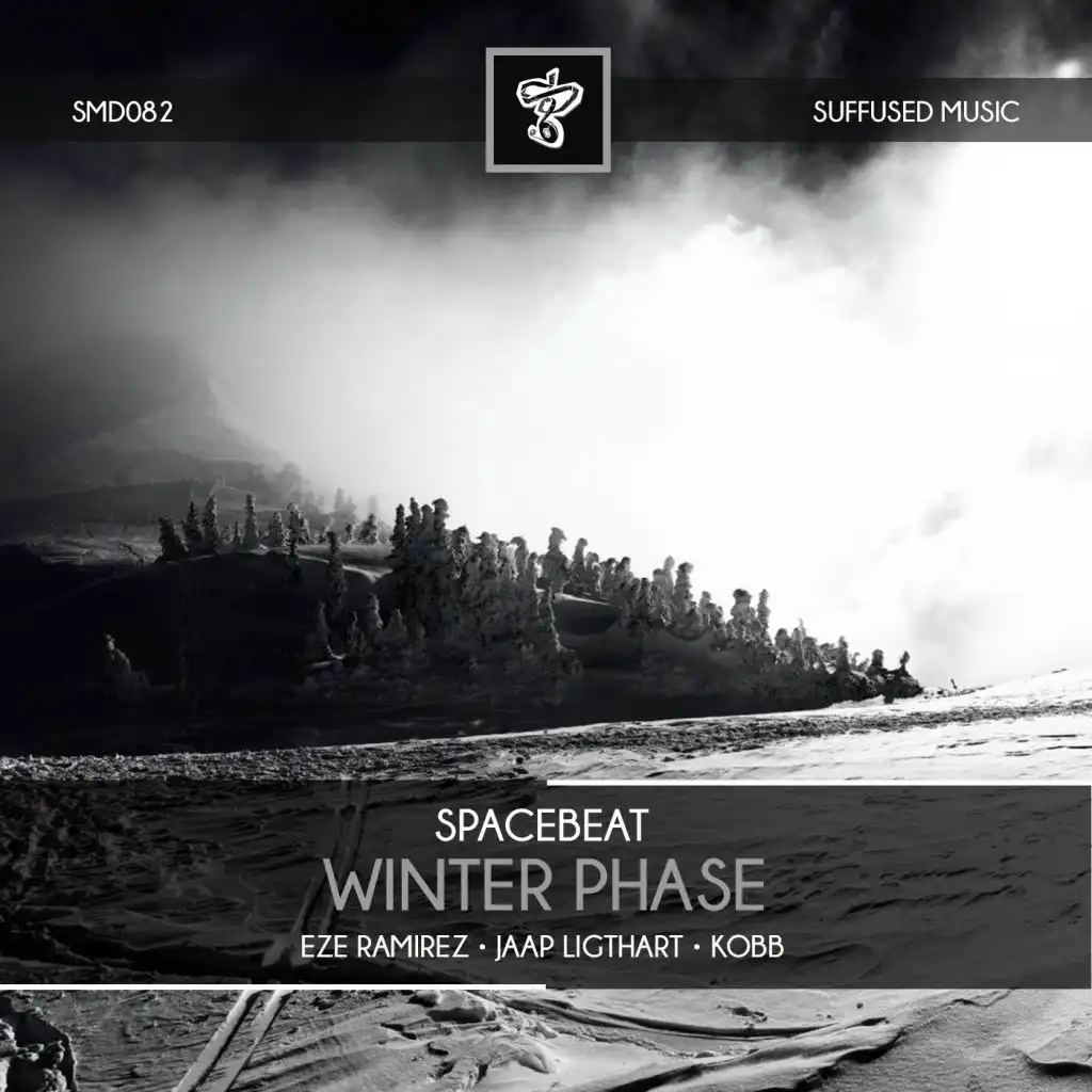 Winter Phase (Jaap Ligthart Remix)