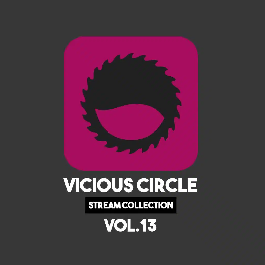 Vicious Circle: Stream Collection, Vol. 13