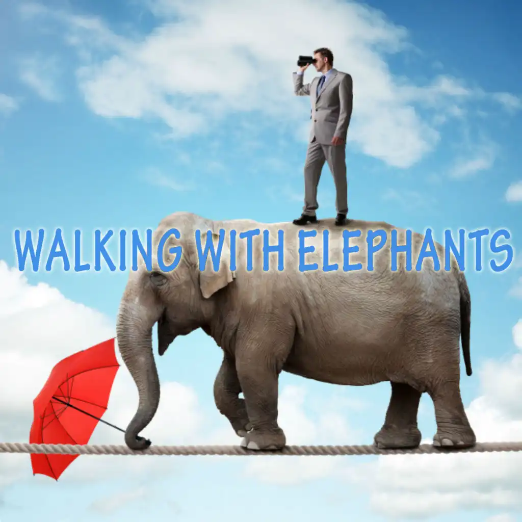 Walking With Elephants - IBIZA Summer Deep House Mixes