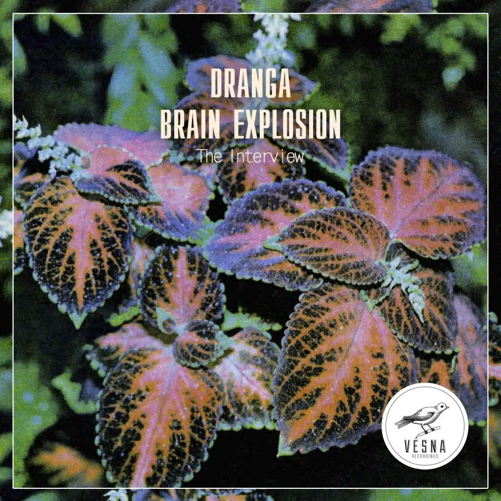 The Interview (feat. Brain Explosion)