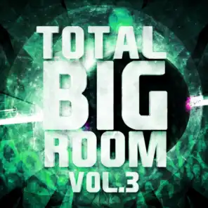 Total Bigroom, Vol. 3