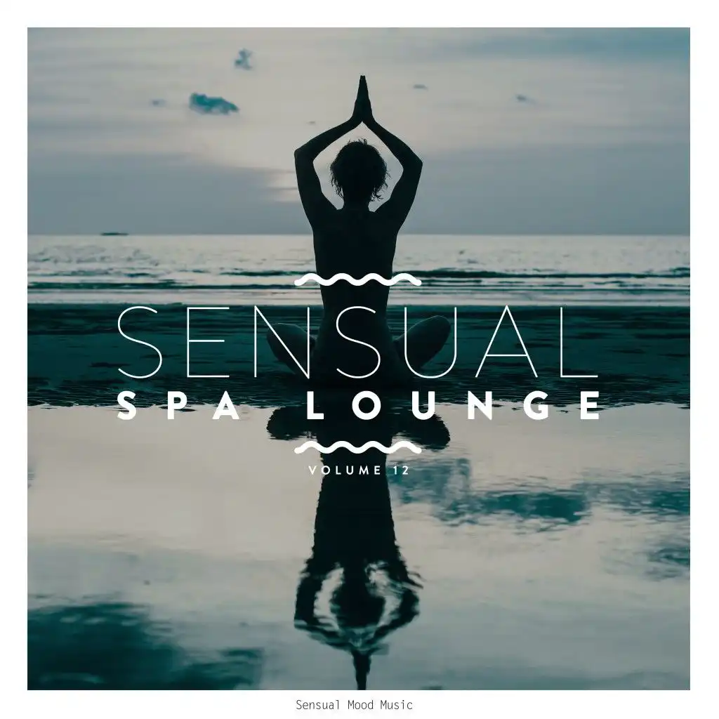 Sensual Spa Lounge, Vol. 12