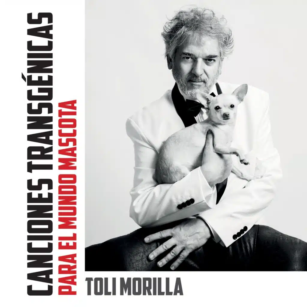 Toli morilla