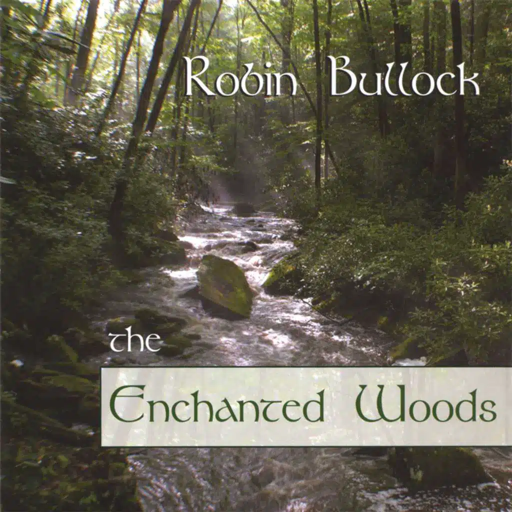 The Enchanted Woods