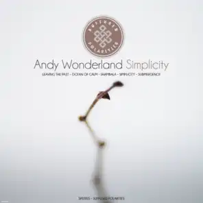 Andy Wonderland
