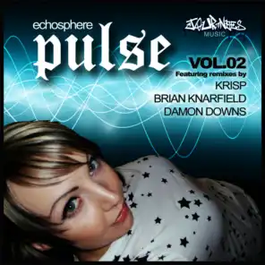 Pulse 2010 (Brian Knarfield Minimal Tech mix)