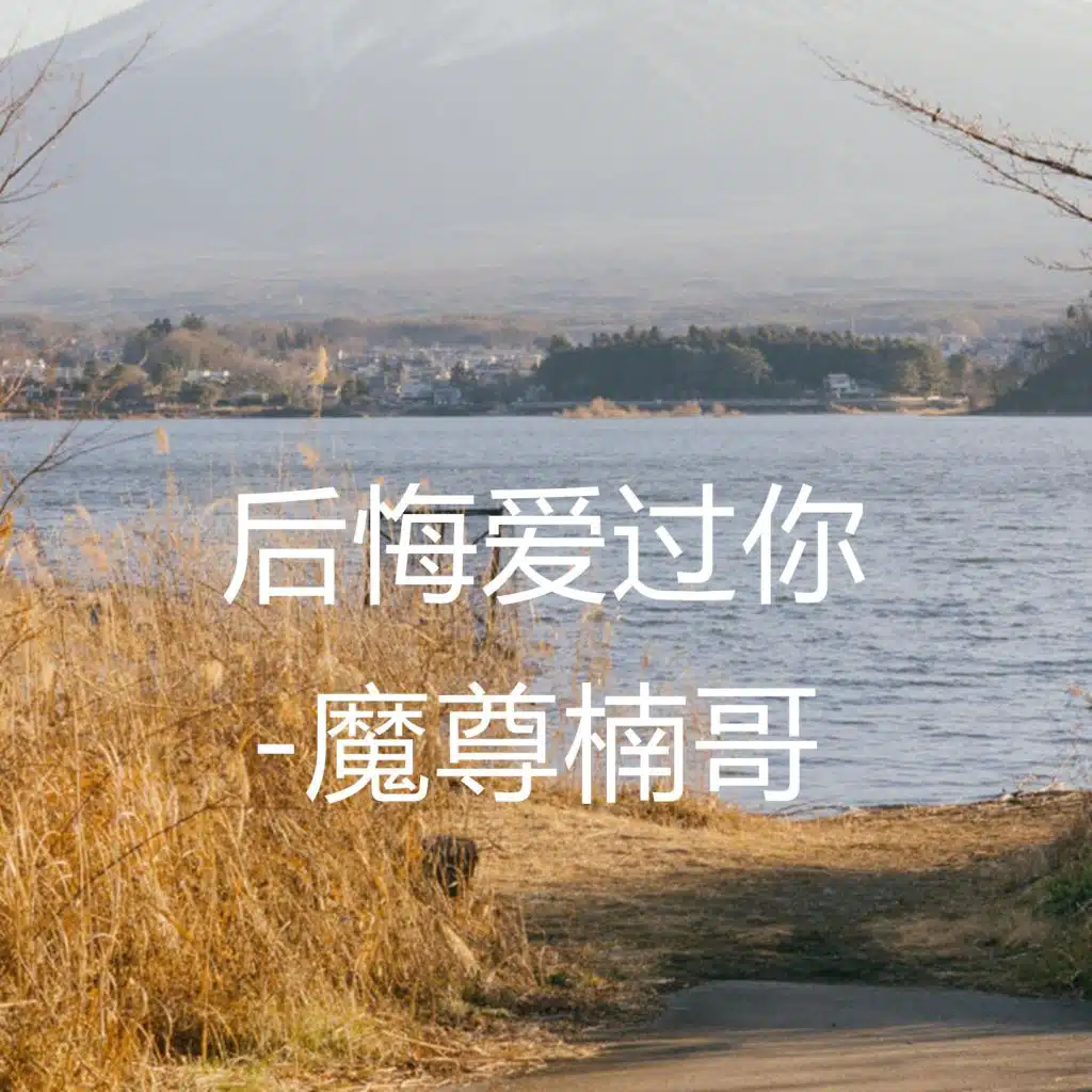 后悔爱过你