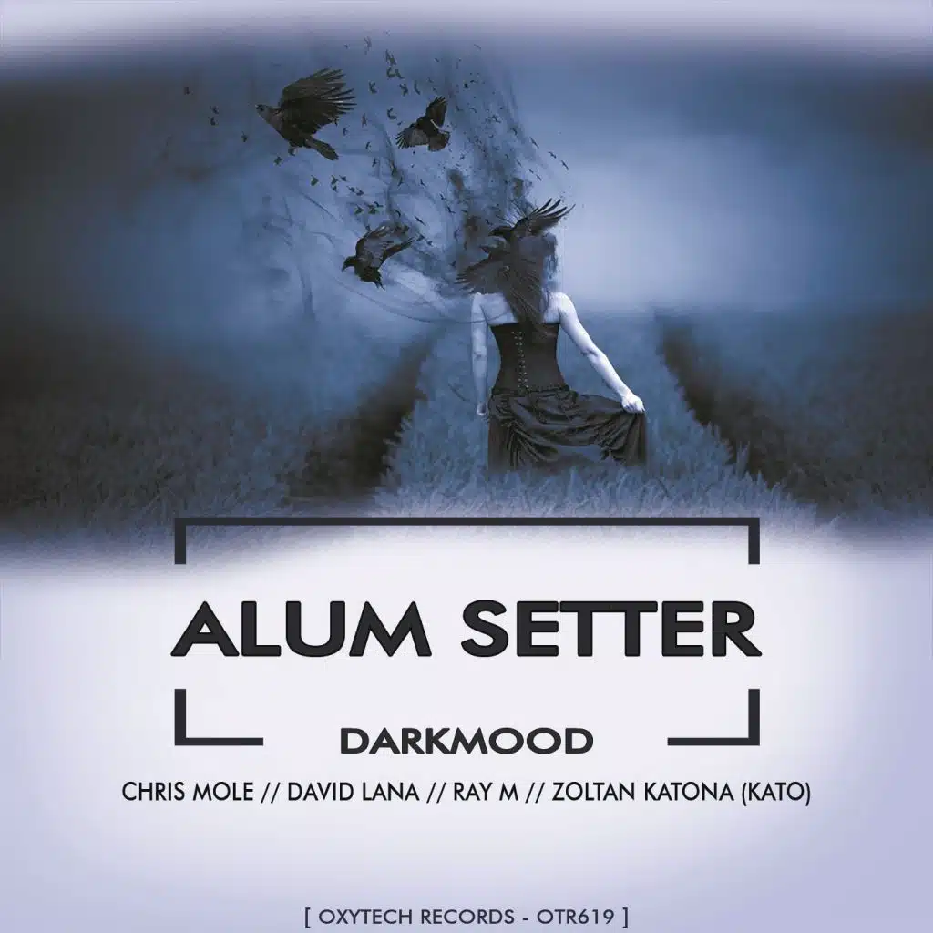 Darkmood (feat. Chris Mole & Zoltan Katona (Kato))