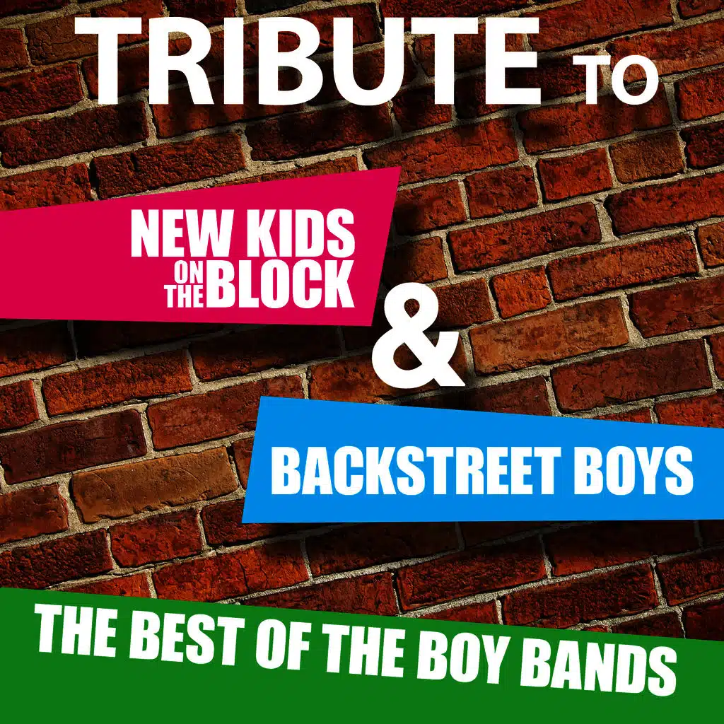 Hey Mr. DJ (Keep Playin' This Song)