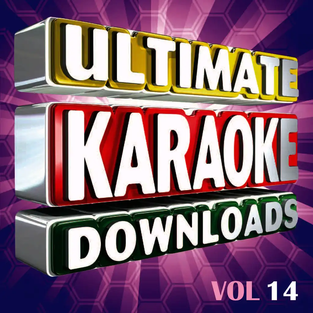 Ultimate Karaoke Downloads Vol.14