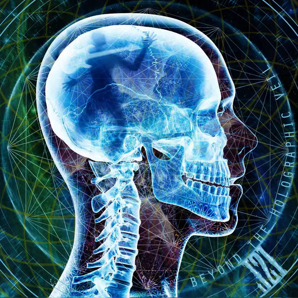 Beyond the Holographic Veil