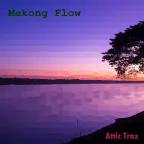 Mekong Flow