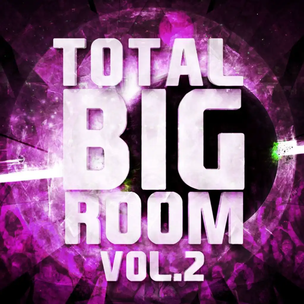 Total Bigroom, Vol. 2