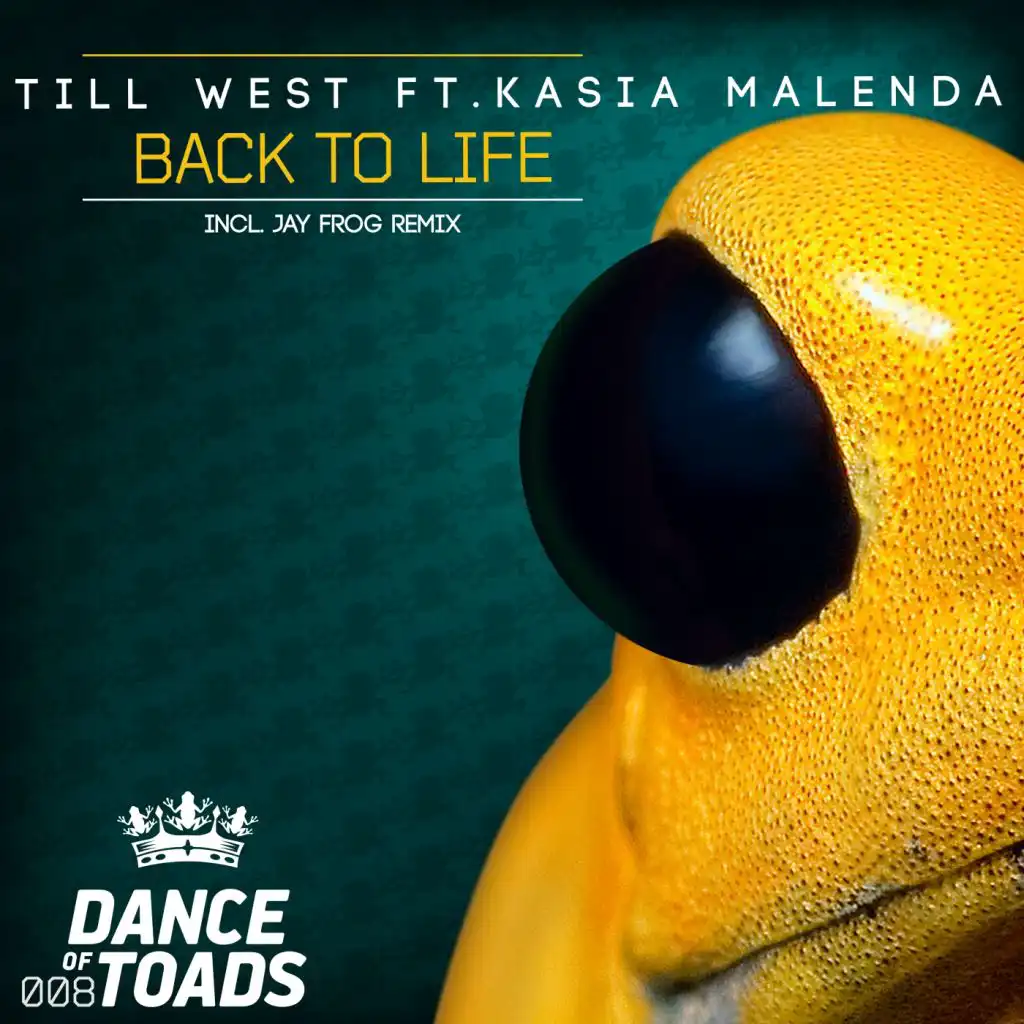 Back To Life (Jay Frog Remix) [feat. Kasia Malenda]