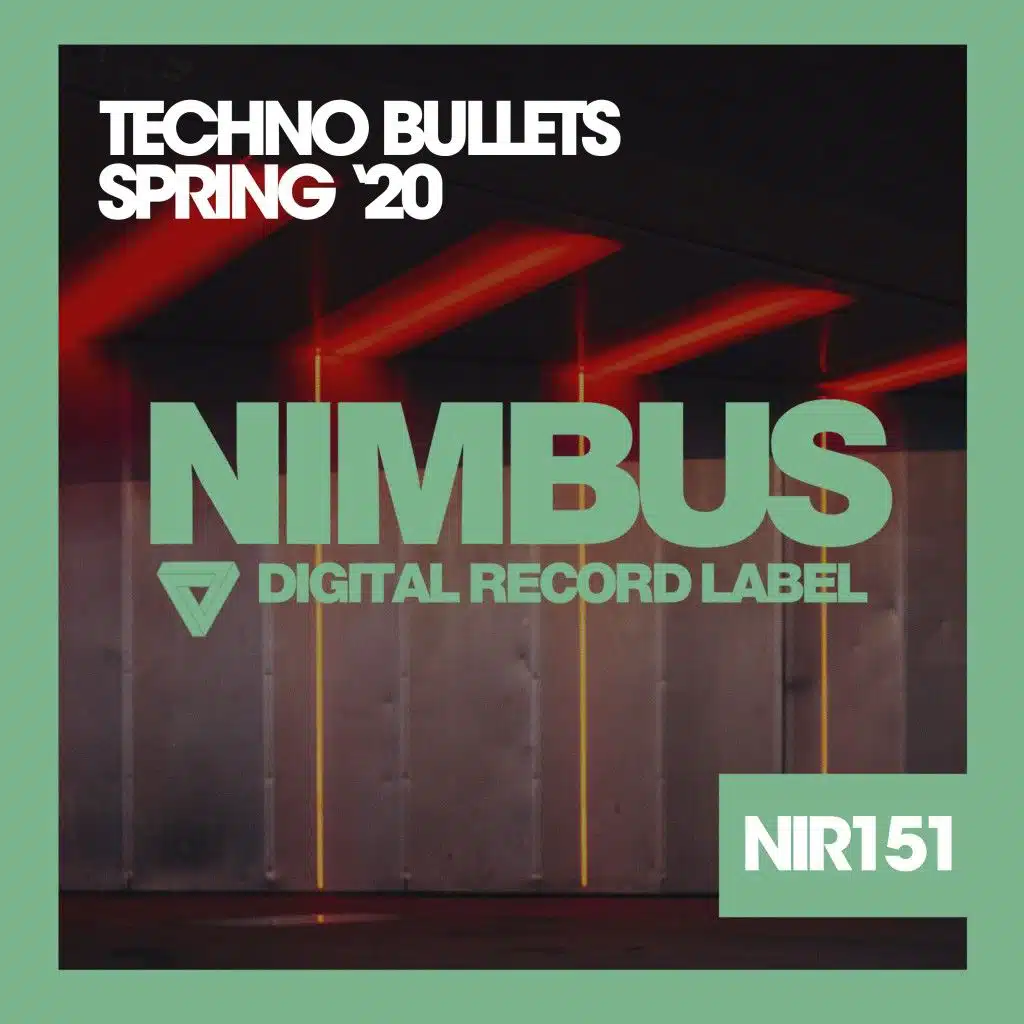Shake That (Techno Dub Mix)
