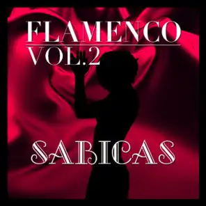 Flamenco: Sabicas Vol.2