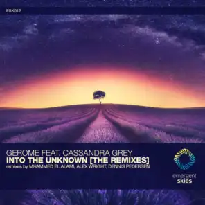 Into the Unknown [The Remixes] (feat. Alex Wright & Mhammed El Alami)