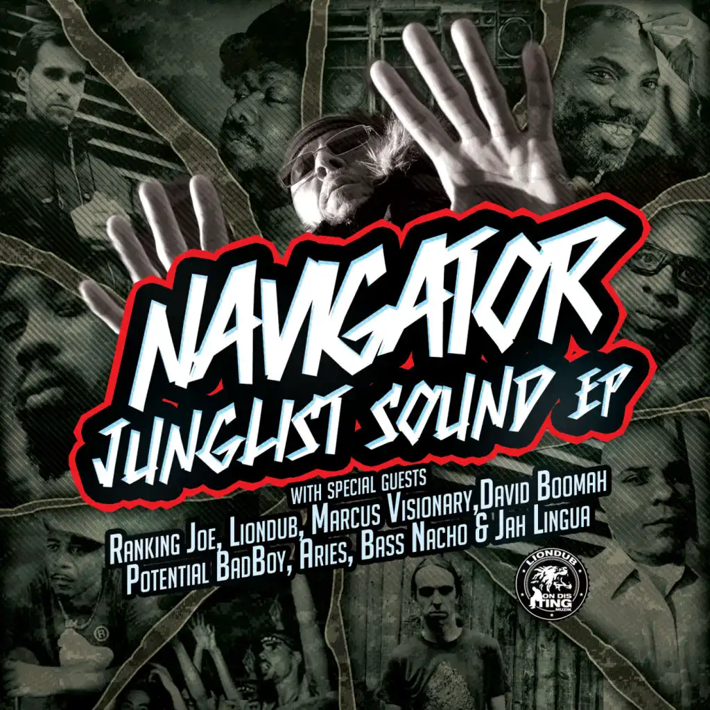 Junglist Sound (feat. Ranking Joe, Liondub & Marcus Visionary)