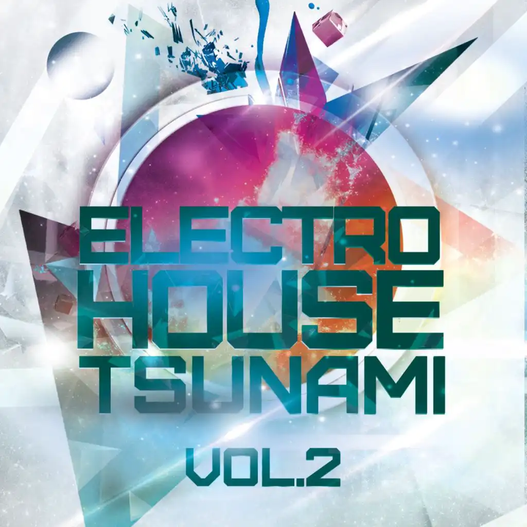 Electro House Tsunami, Vol. 2