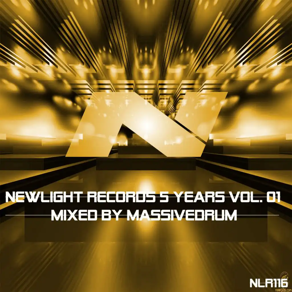 NewLight Records 5 Years, Vol. 01