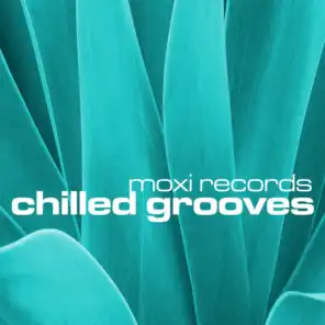 Chilled Grooves, Vol. 5