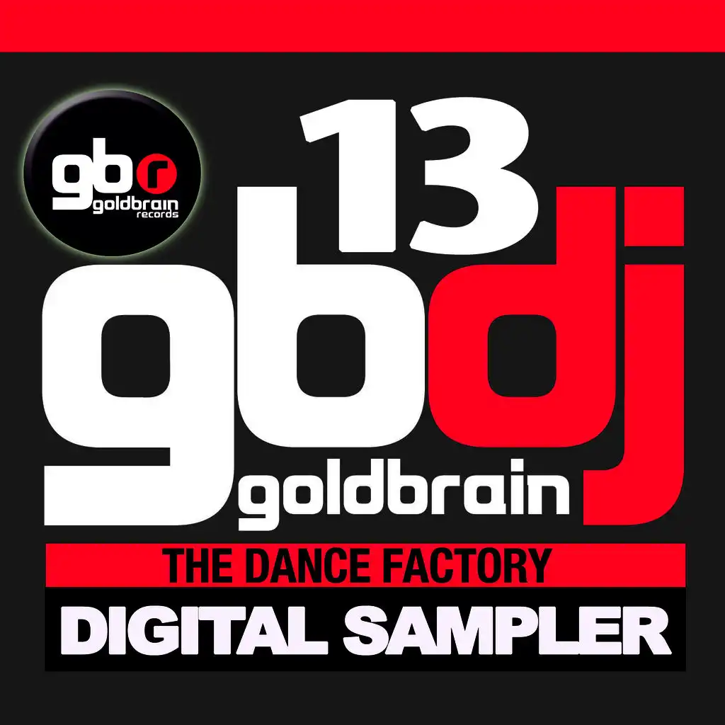 Goldbrain Dj 13 Digital Sampler