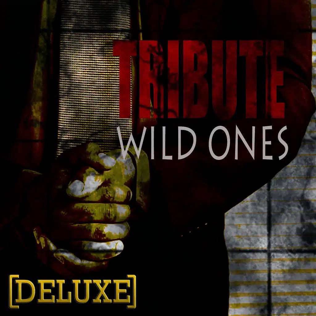 Wild Ones (Flo Rida feat. Sia Deluxe Tribute)