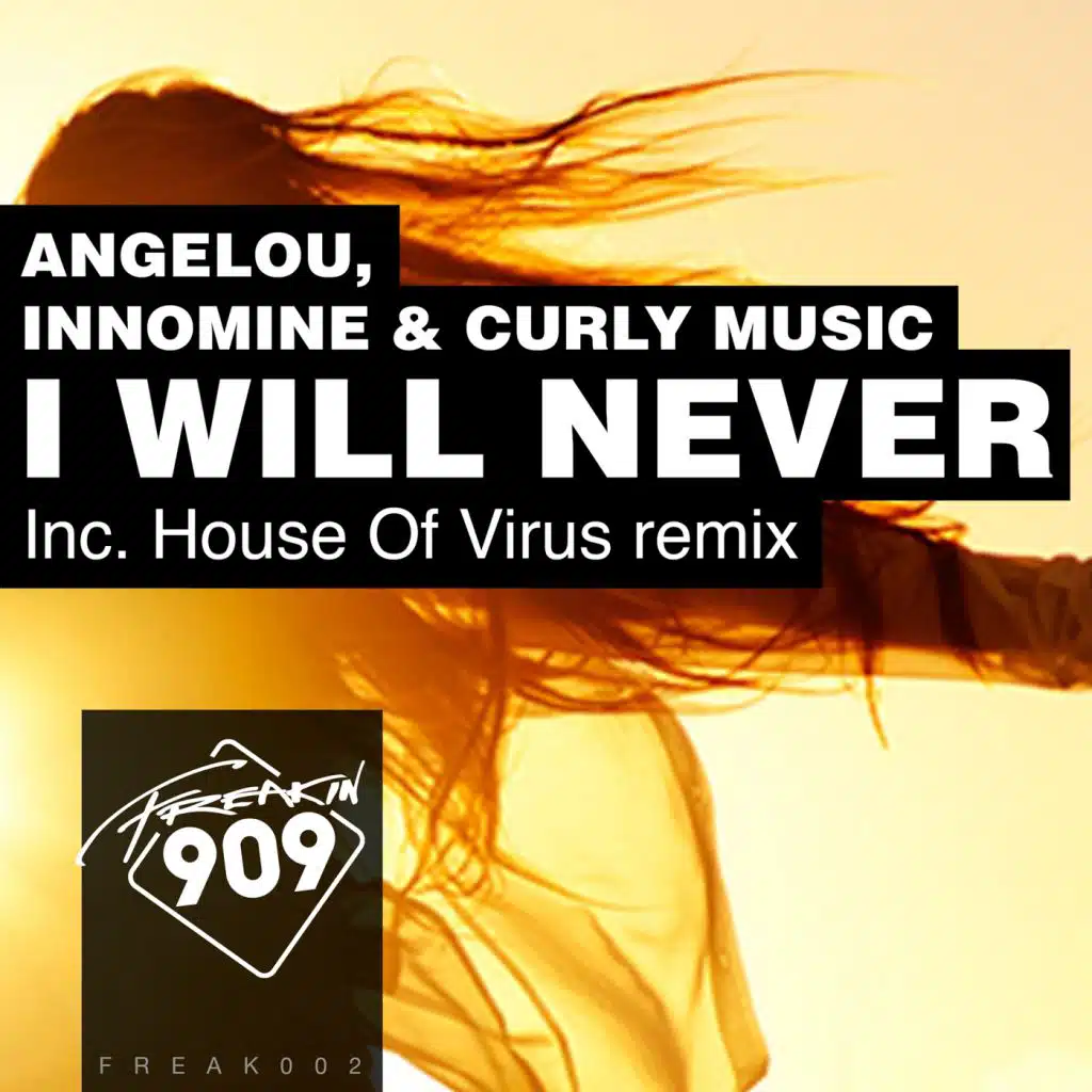 I Will Never (House Of Virus Radio Edit)