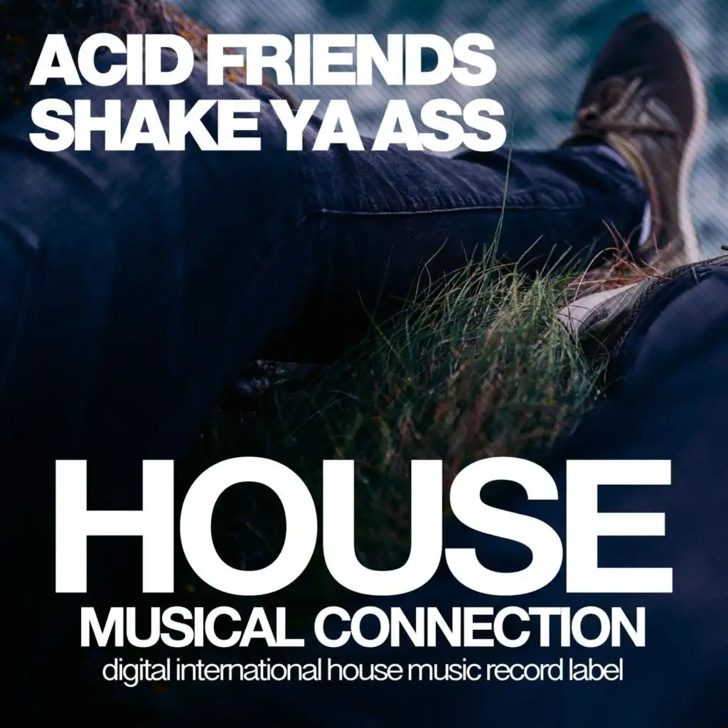 Shake Ya Ass (Dub Mix)