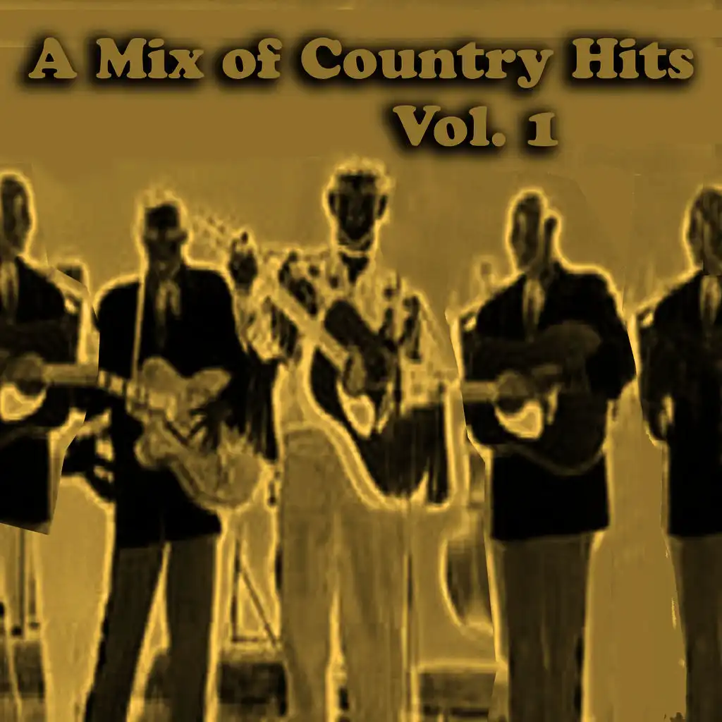 A Mix of Country Hits, Vol. 1