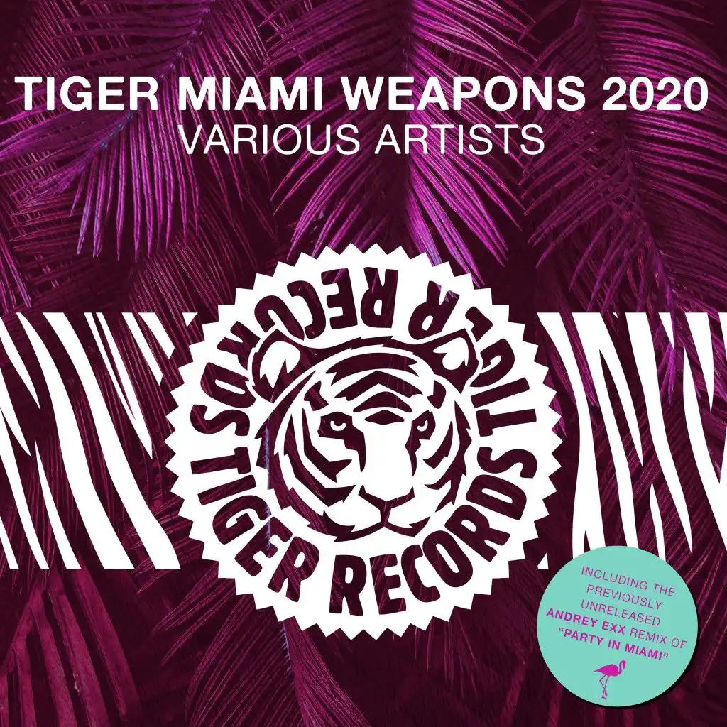 Party in Miami (Andrey Exx Remix)