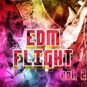 EDM Flight, Vol. 2