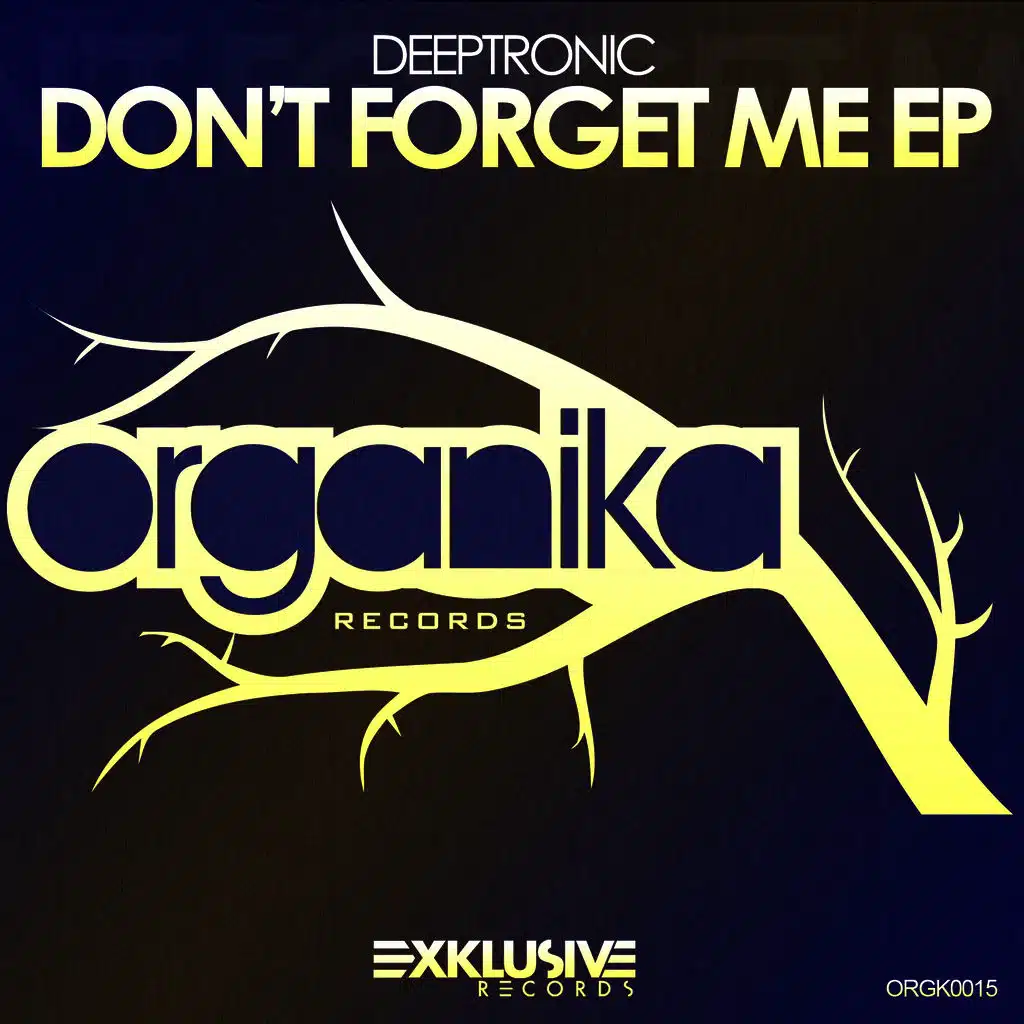 Don't Forget Me (Original Mix)