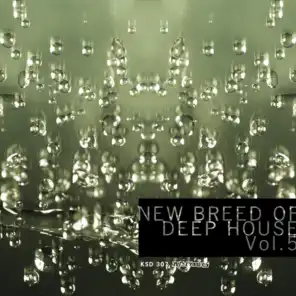 New Breed of Deep House, Vol. 5
