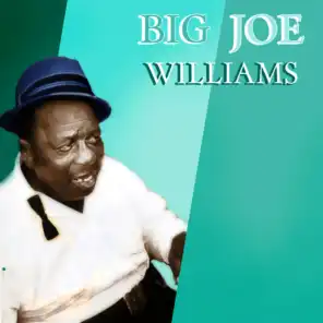 Big Joe Williams' Greatest Hits