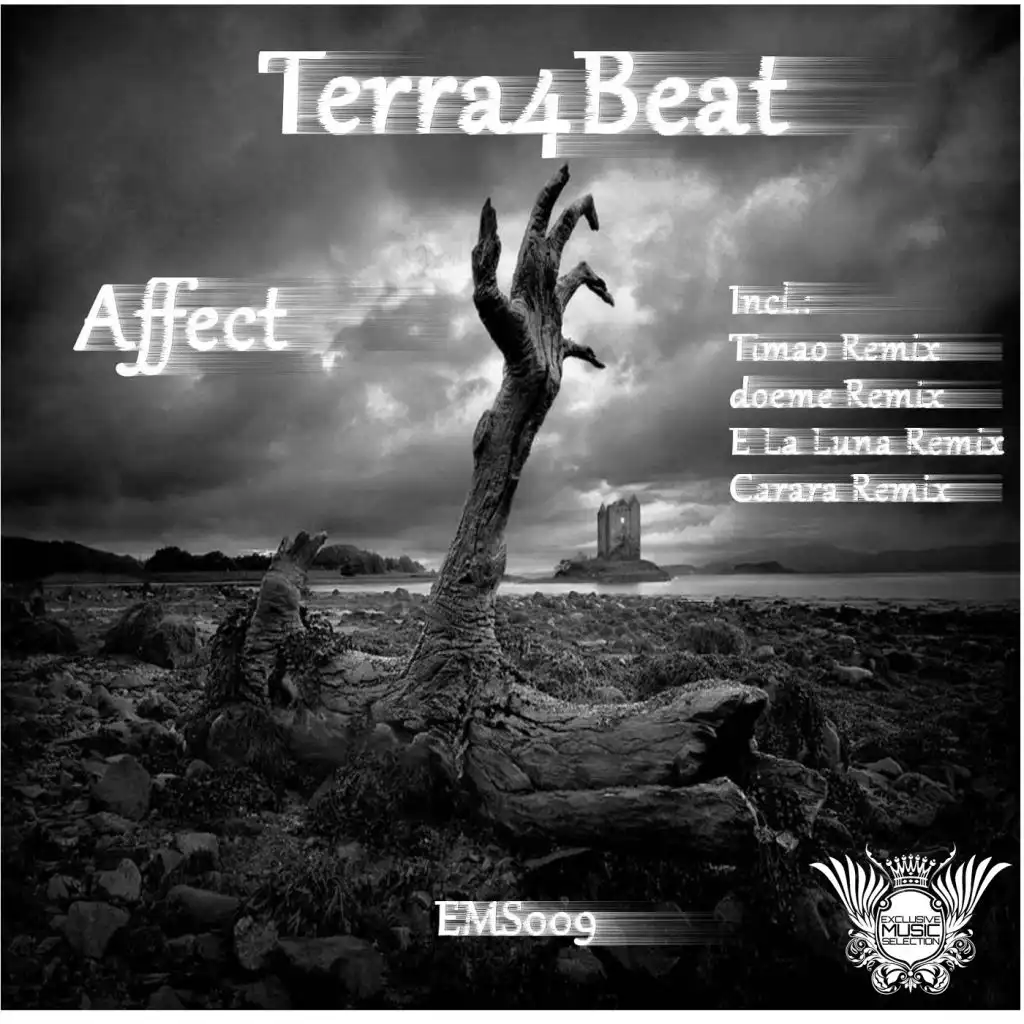 Affect (Timao Remix)