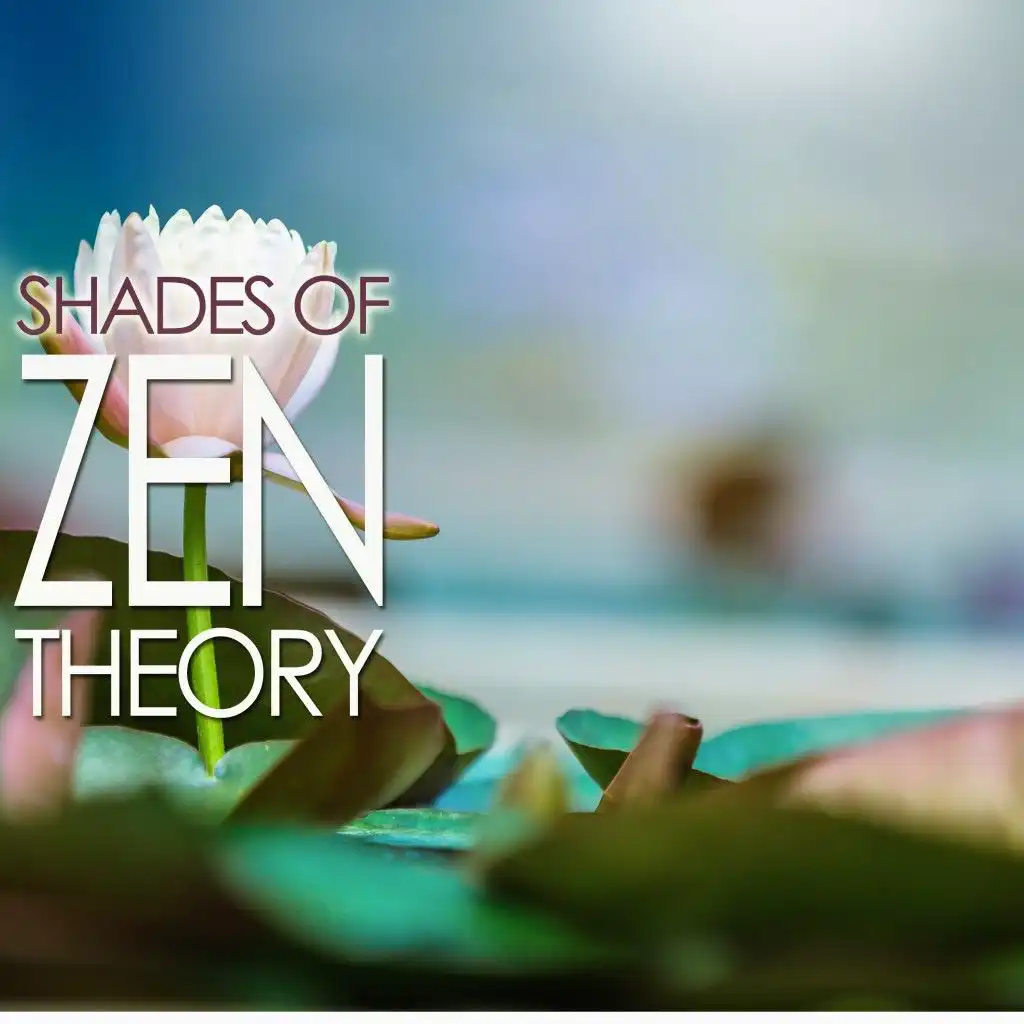 Shades of Zen Theory