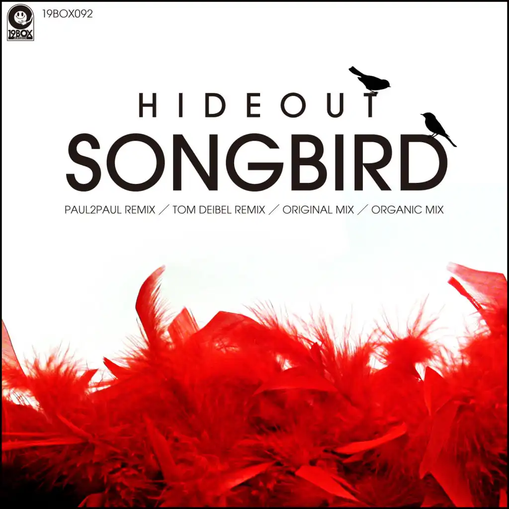 Songbird (Tom Deibel Remix)