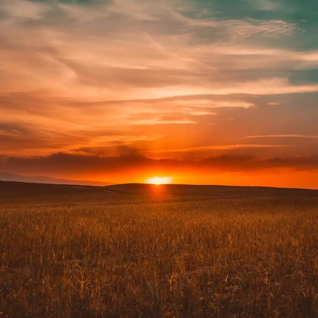 Hann's Emperors Of Song