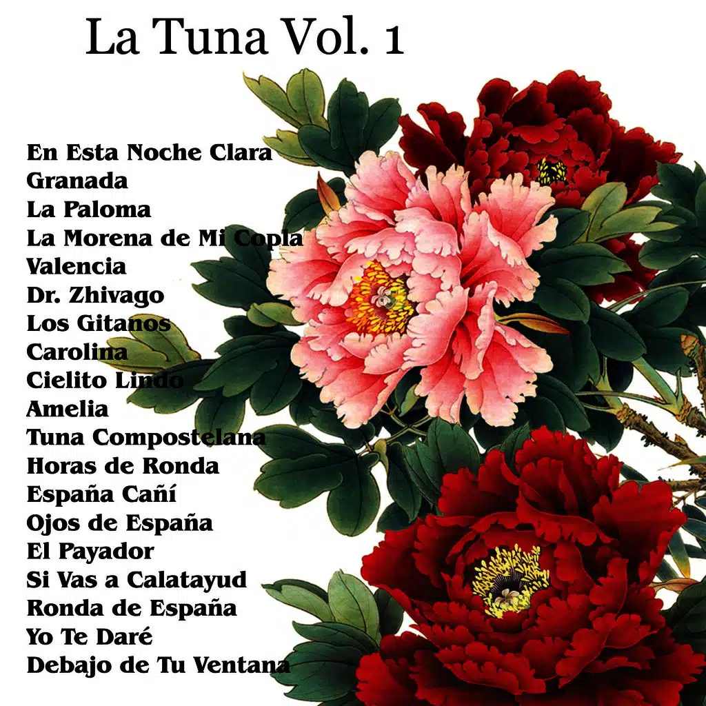 Tuna Universitaria de Granada