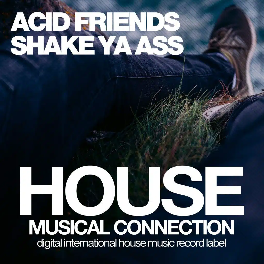 Shake Ya Ass (Dub Mix)